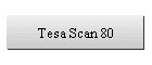 Tesa Scan 80